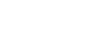 Evos